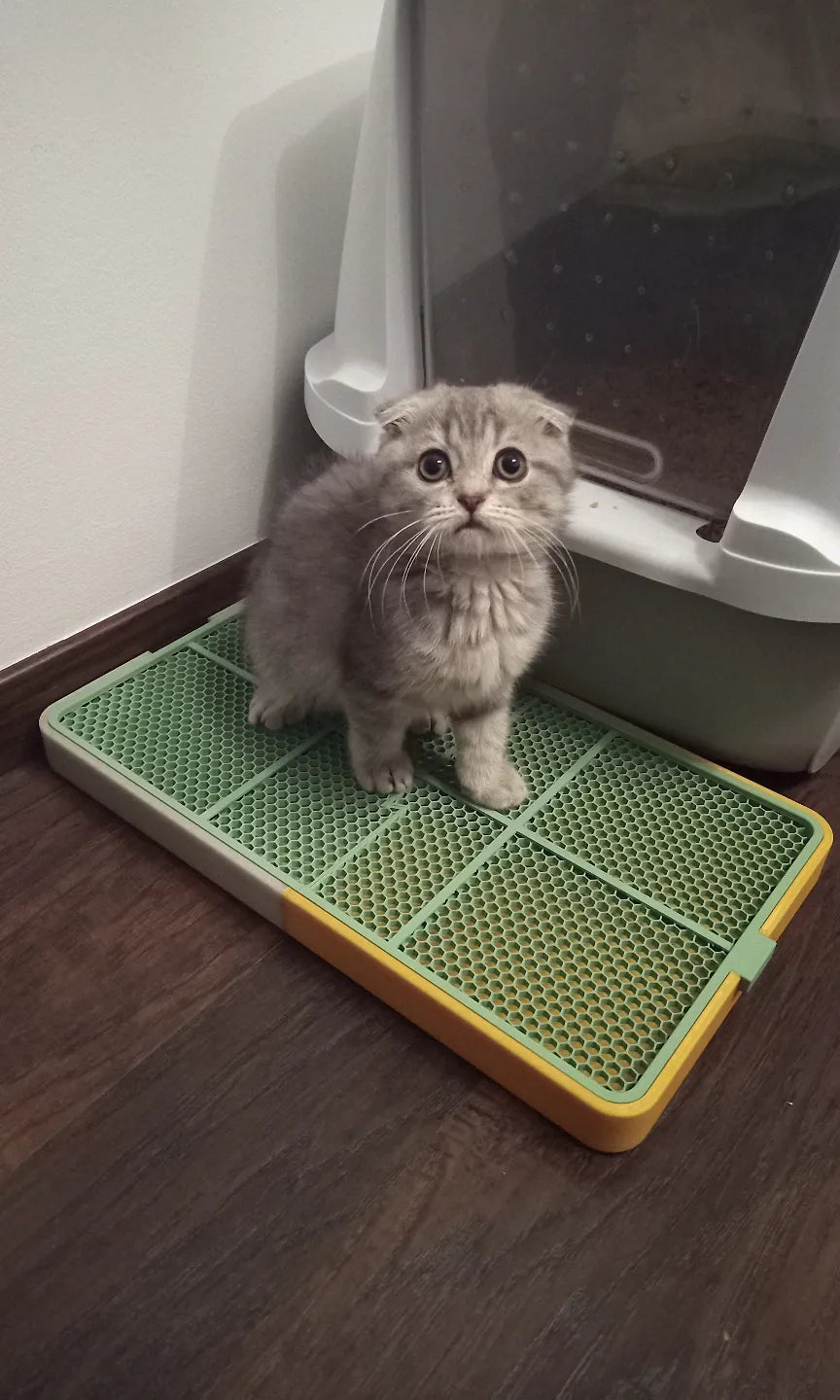 Tapete de Areia para Gatos com Tabuleiro