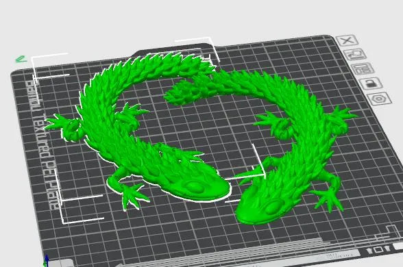 Lagarto Flexível