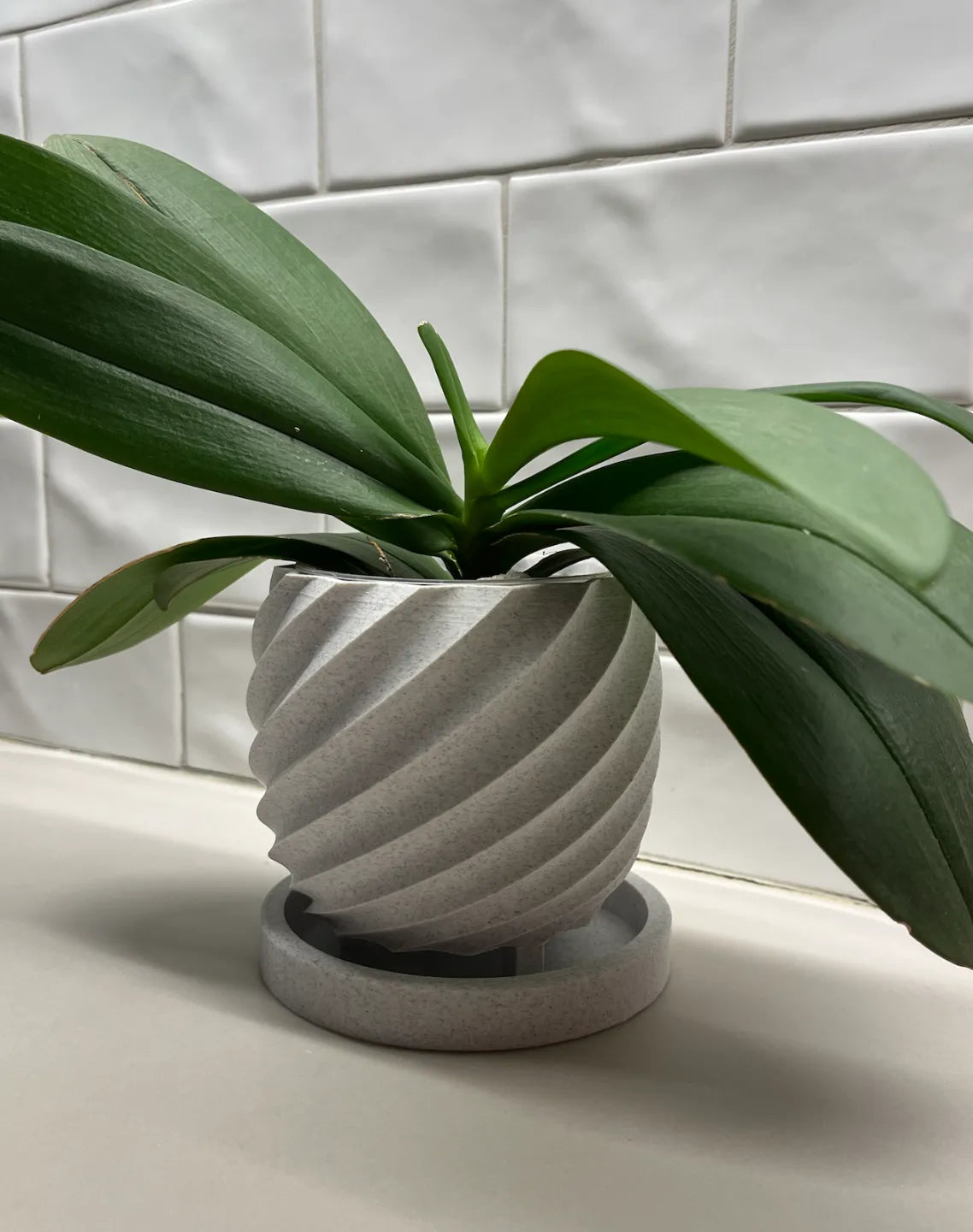 Vaso Espiral