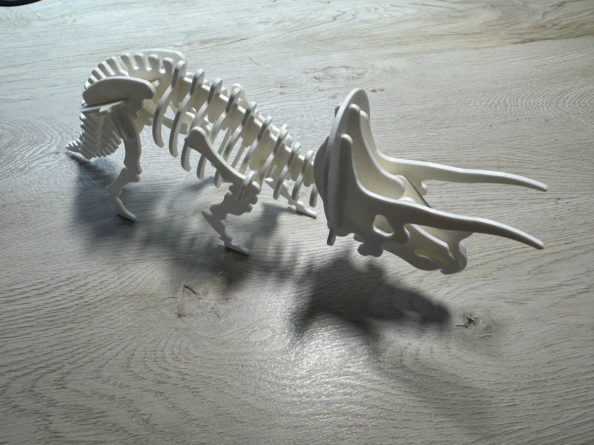 Puzzle Esqueleto de Triceratops