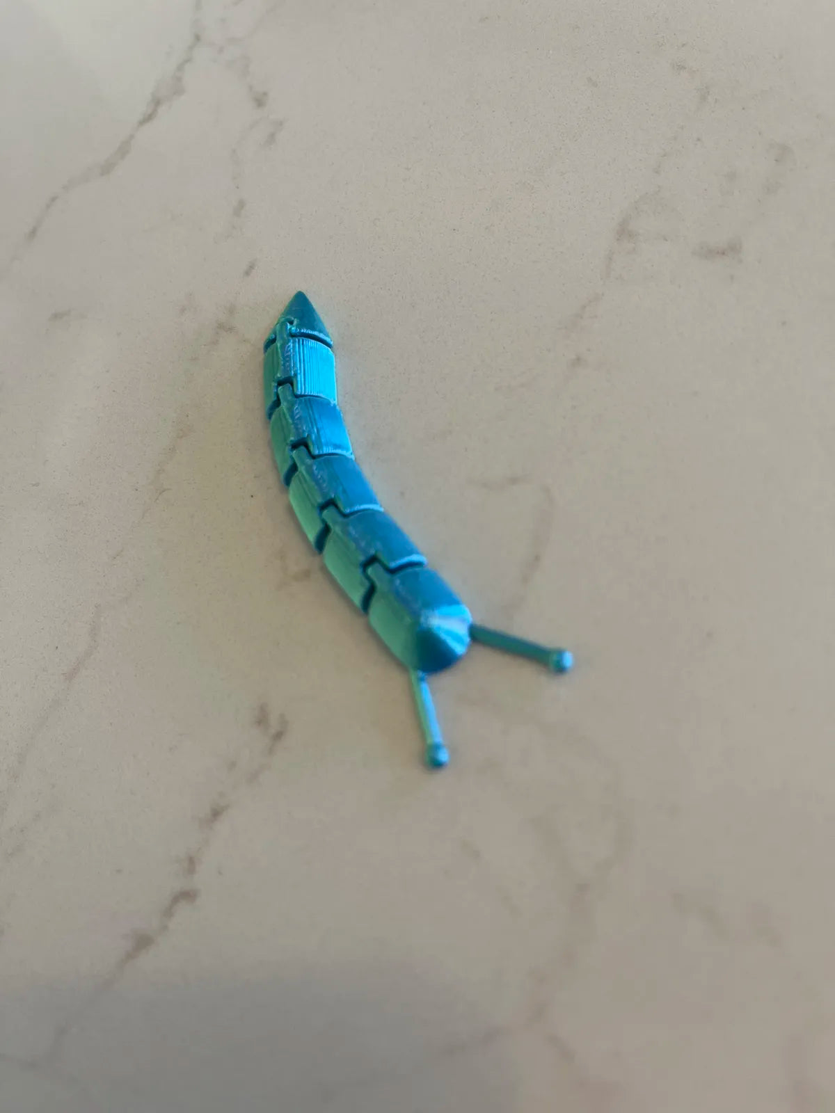 Lesma Articulada
