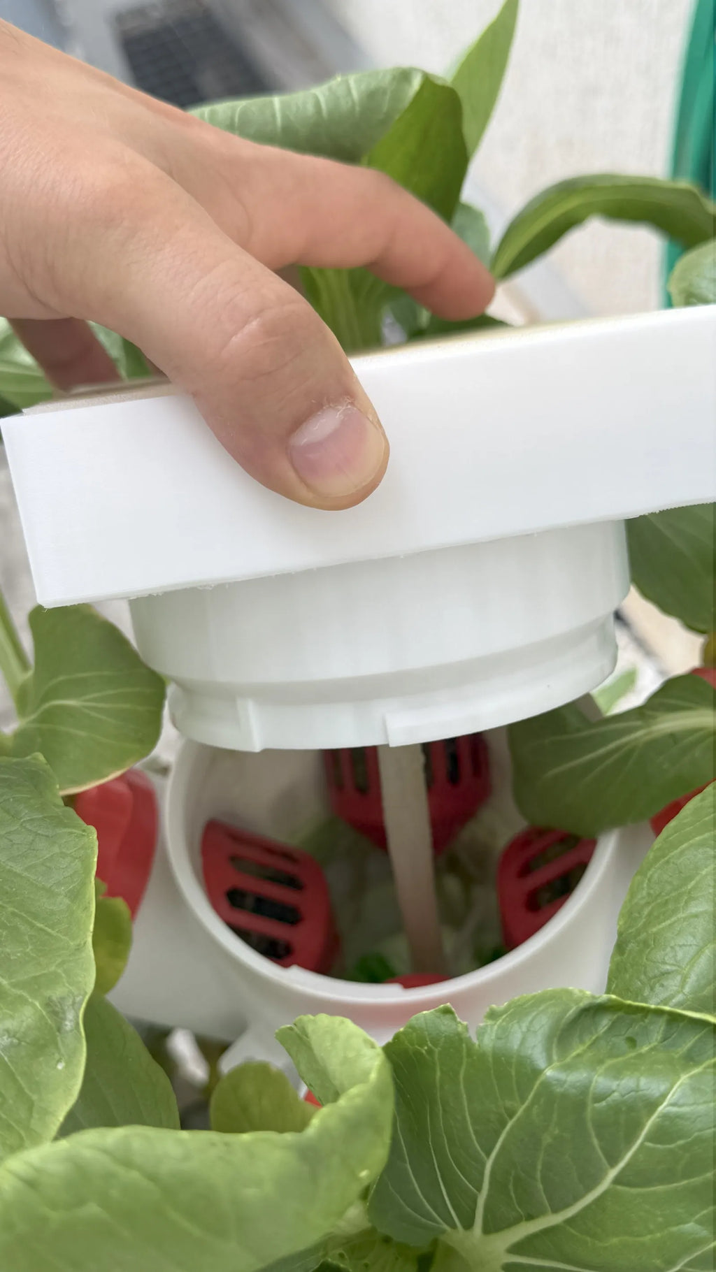 Kit de Germinação para Torre Hidropónica