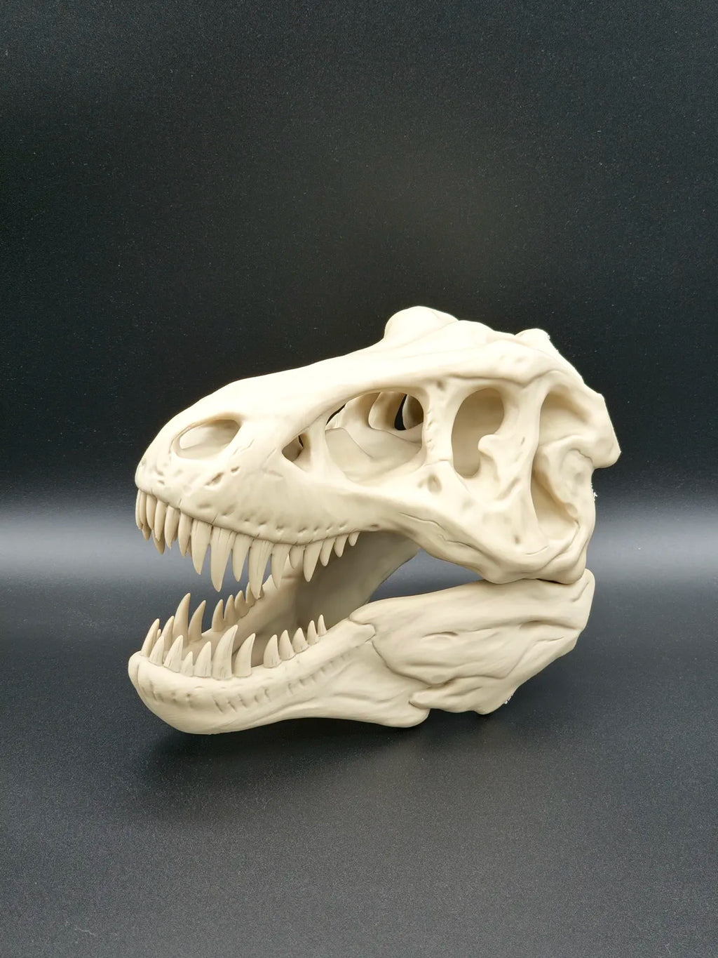 Crânio de T-Rex Decorativo