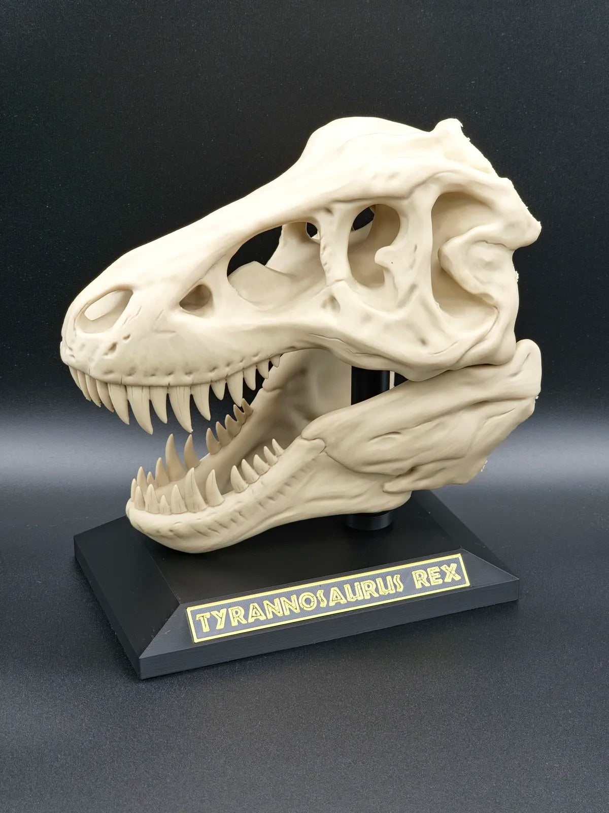 Crânio de T-Rex Decorativo