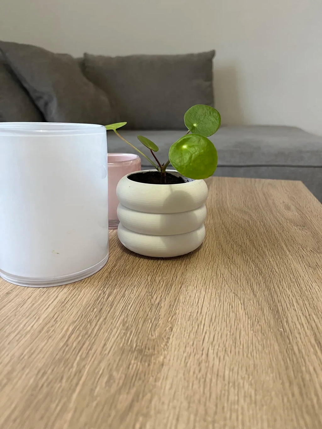 Vaso para Plantas