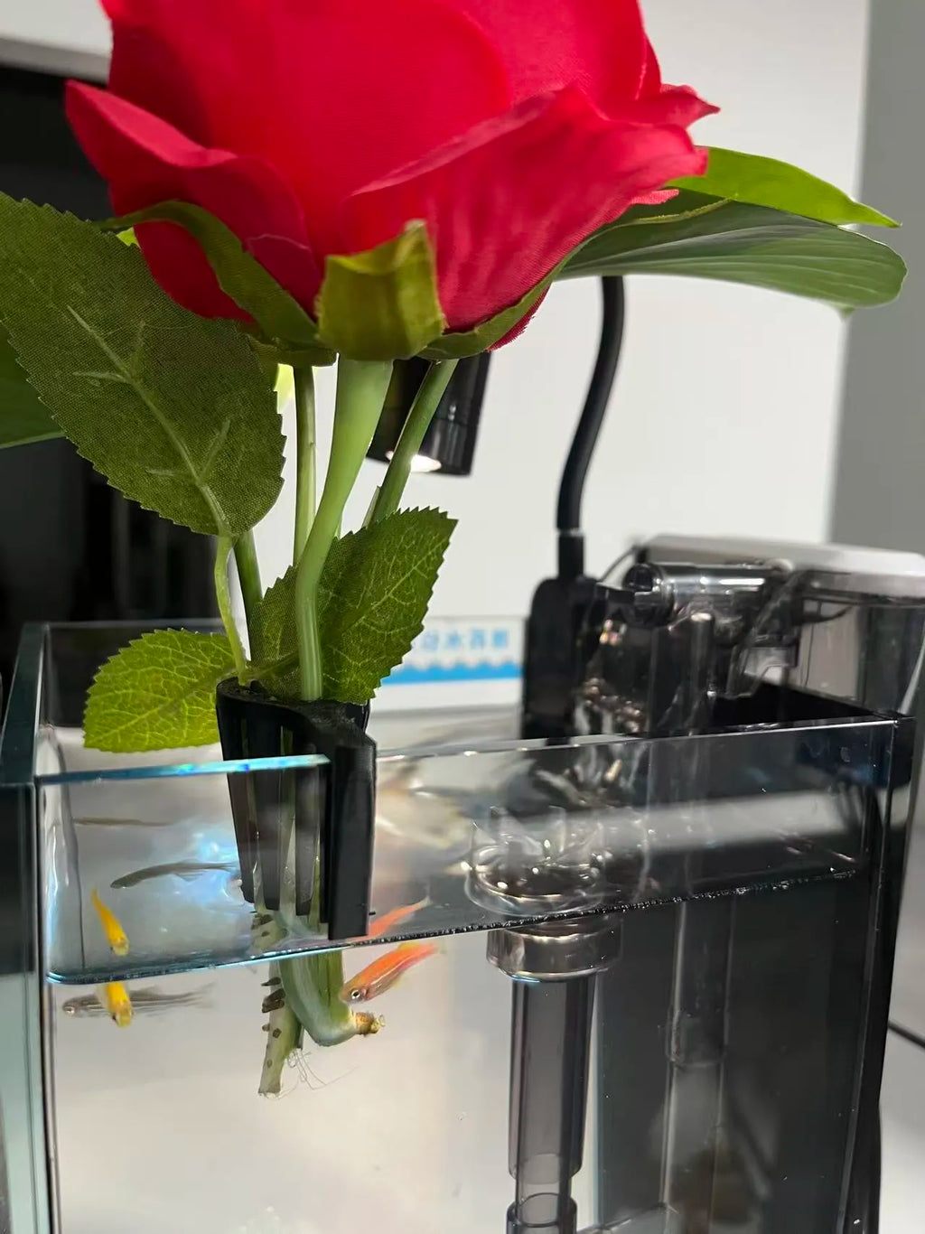 Suporte para Pequenas Plantas de Aquário