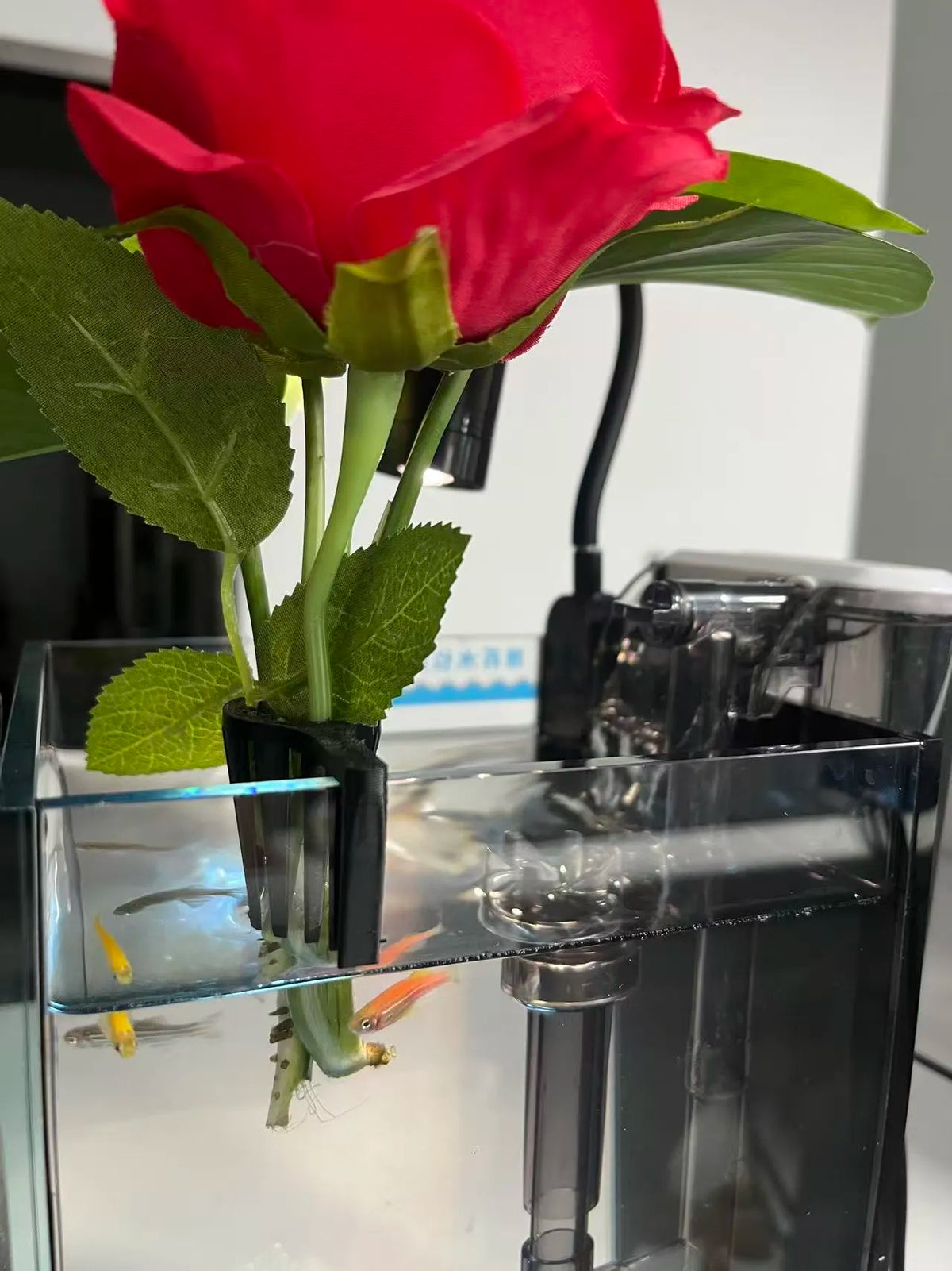 Suporte para Pequenas Plantas de Aquário