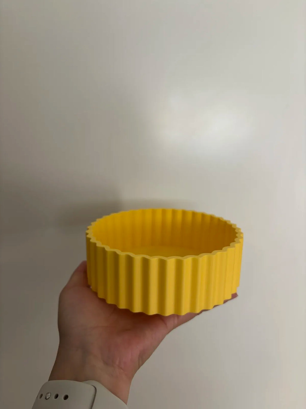 Comedouro Moderno para Cão e Gato