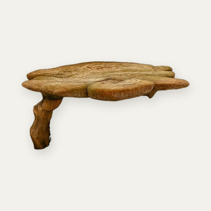Pedra Plataforma