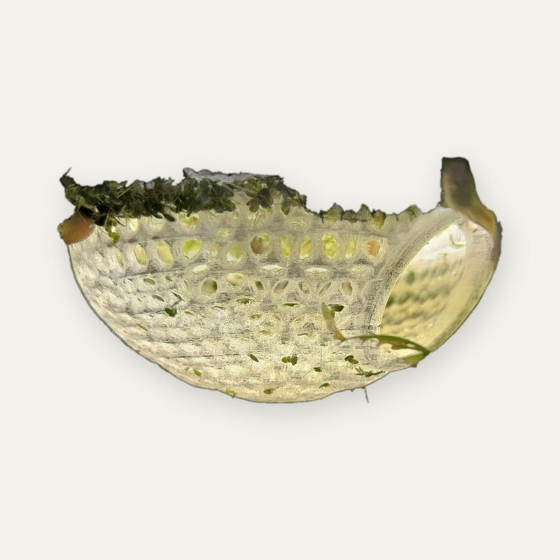Cúpula para Betta