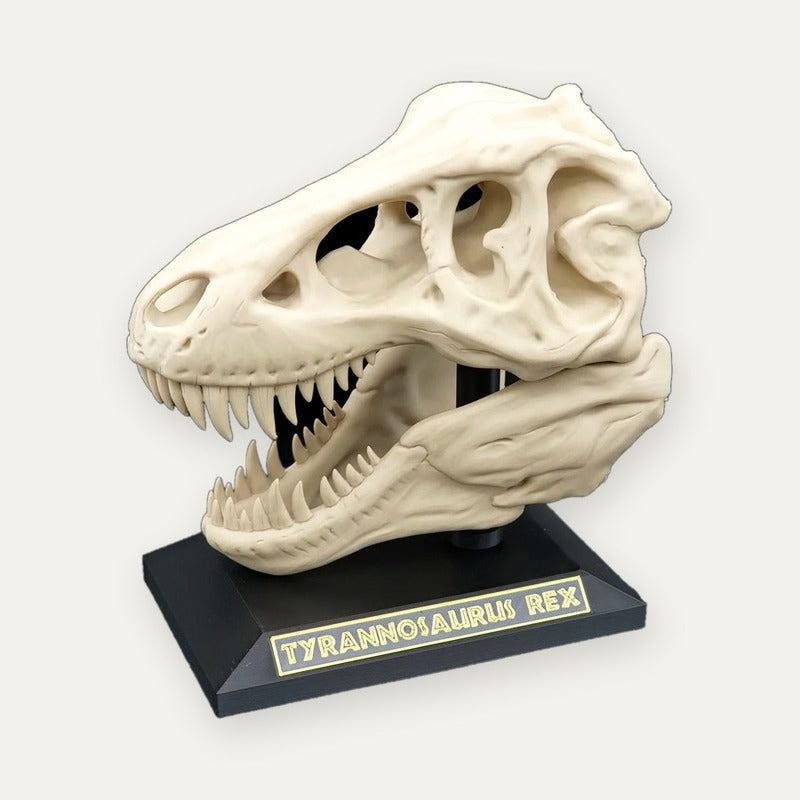 Crânio de T-Rex Decorativo