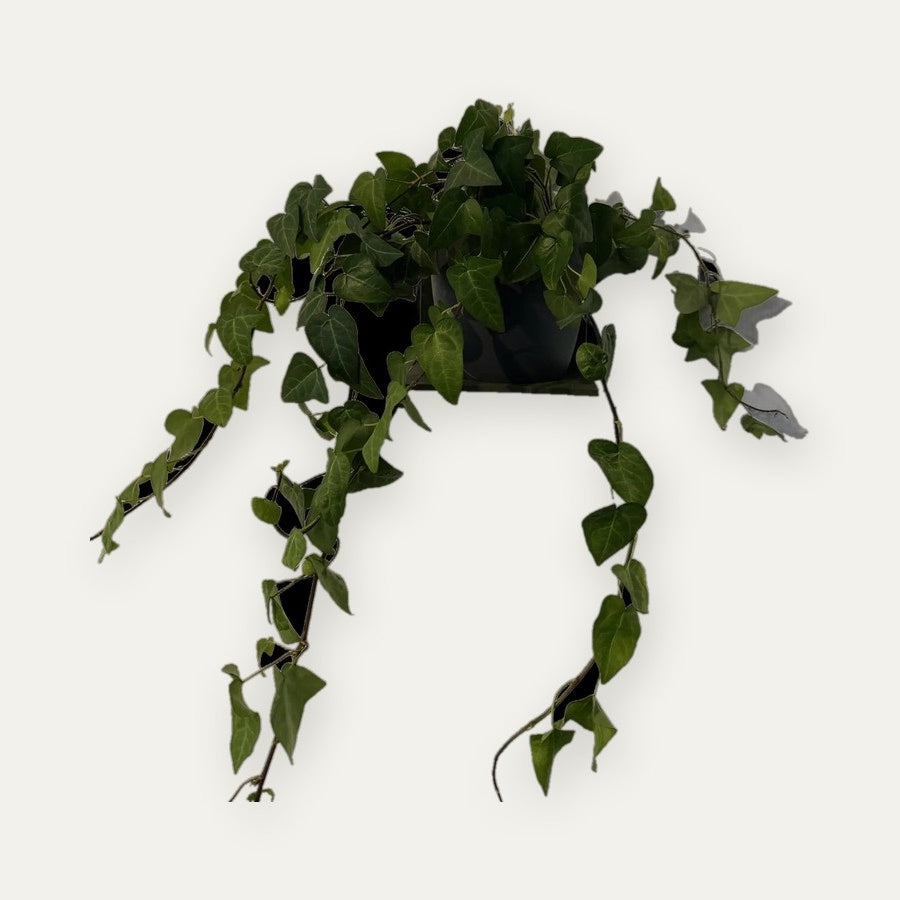 Prateleira Adesiva – Vértice Arte 3D